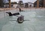 Centro de recuperação resgatou mais de 700 animais silvestres nas praias em 2020