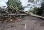 Tempestade causa destruição e transtornos em municípios do RS; veja a situação de cada um
