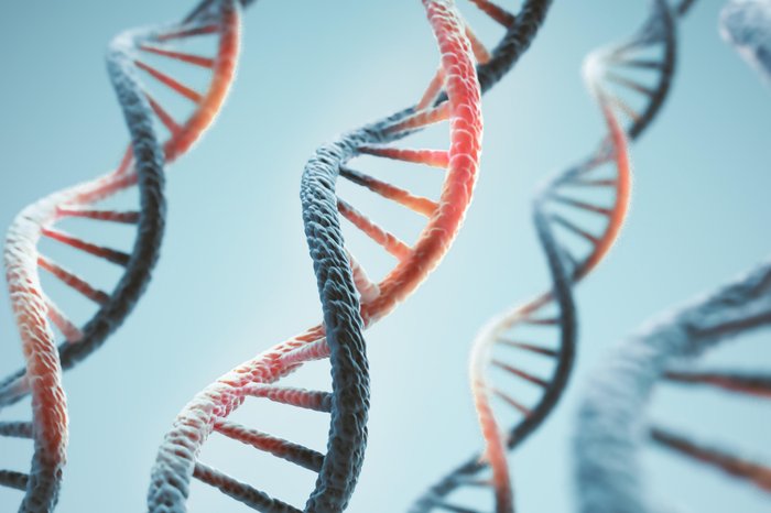 Anusorn / stock.adobe.com