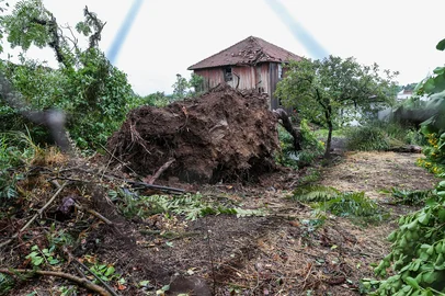 FLORES DA CUNHA, RS, BRASIL, 09/12/2025. Alfredo Chaves contabiliza prejuízos após a passagem do ciclone tropical, que afetou áreas urbanas e rurais do município. (Neimar De Cesero/Agência RBS)Indexador: Neimar De Cesero<!-- NICAID(16183361) -->