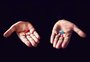 Red pill: os homens que não amavam as mulheres