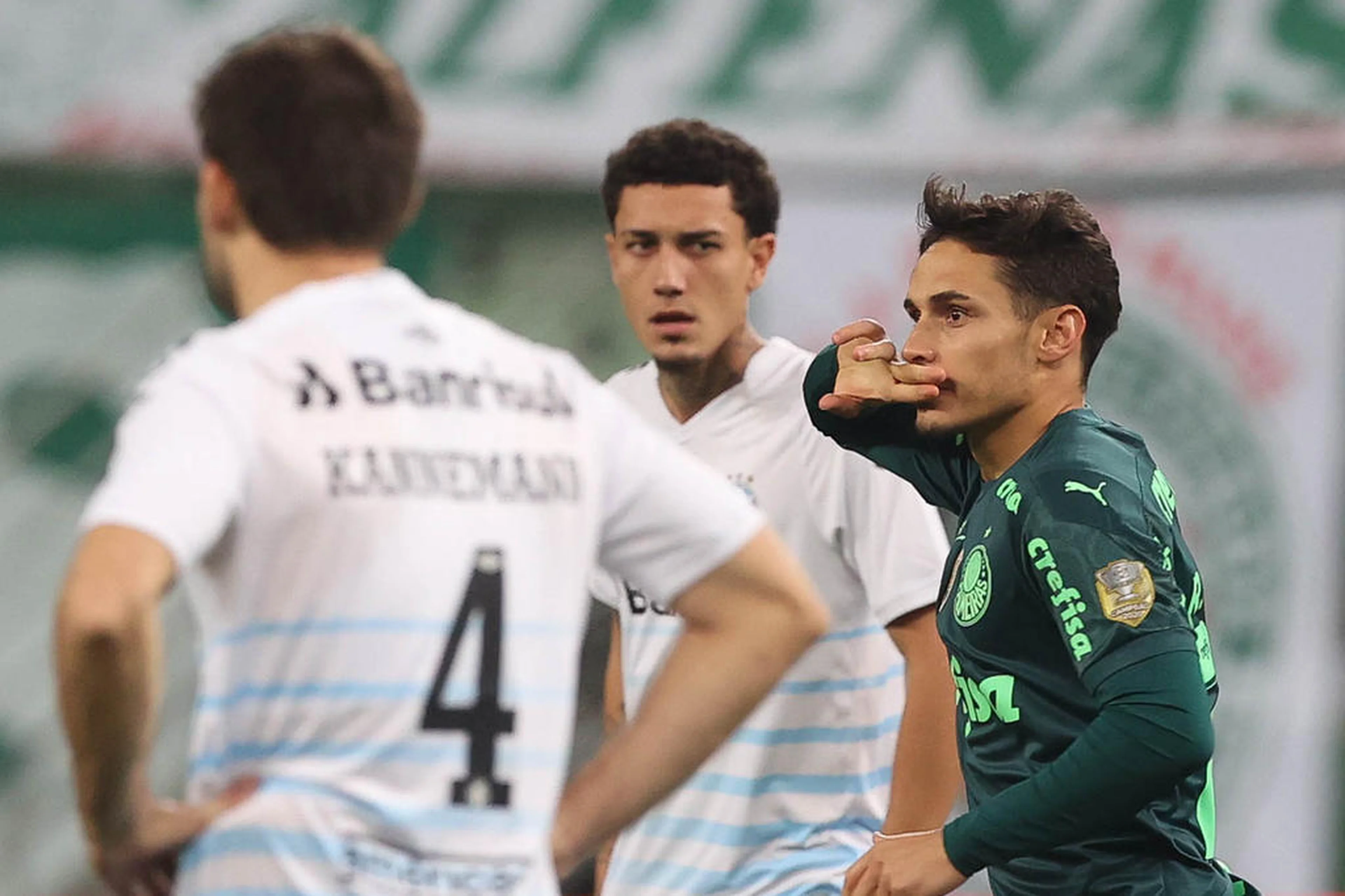 Cesar Greco/Palmeiras,Divulgação