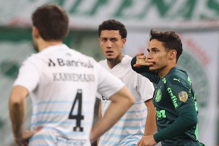 Cesar Greco / Palmeiras,Divulgação