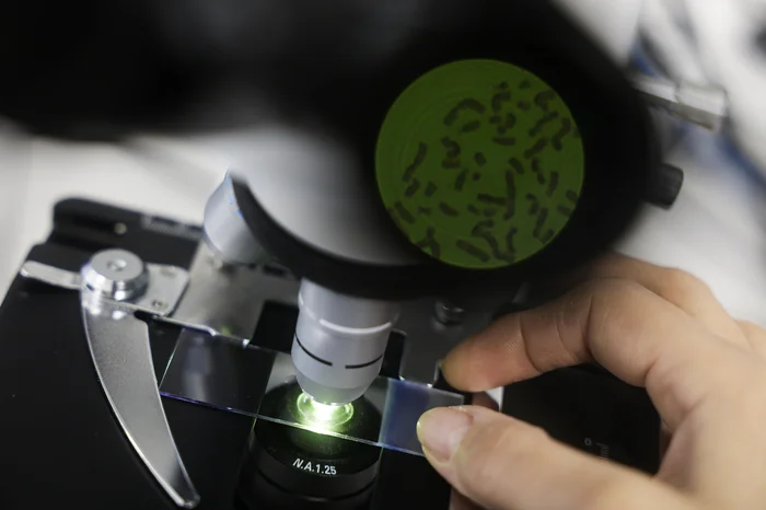 Mateus Bruxel / Agencia RBS