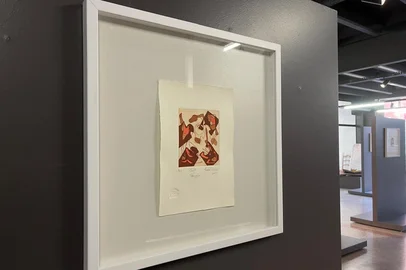 A exposição IMAGENS DO INCONSCIENTE, de Eliane Santos Rocha,na Universidade de Caxias do Sul (UCS), apresenta 43 gravuras de diferentestamanhos que foram produzidos no período de 2014 a 2025 com a técnica deÁgua-tinta, Água-forte e Aquarela.<!-- NICAID(16118066) -->