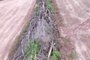 Área de mais de 2,5 hectares de mata nativa é desmatada em Liberato Salzano<!-- NICAID(15610621) -->