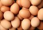Comer ovo faz mal? Saiba a quantidade ideal, cuidados no preparo e se ele pode substituir a carne na dieta