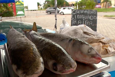 pelotas , semana santa , peixe<!-- NICAID(16255634) -->
