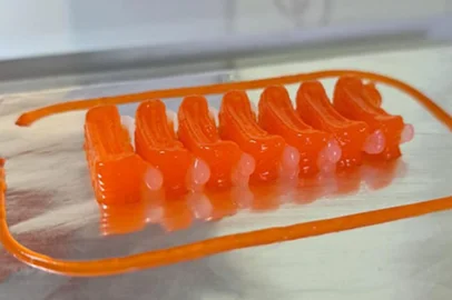 Pesquisadores da Embrapa usam impressão 3D para produzir filés análogos aos de pescado<!-- NICAID(15558045) -->