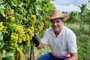 Vinhos finos produzidos por assentado de Encruzilhada do Sul ganham repercussão nacional<!-- NICAID(15709197) -->