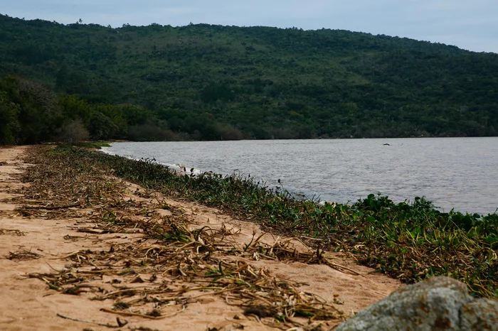 Jonathan Heckler / Agencia RBS Jonathan Heckler / Agencia RBS