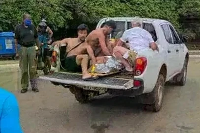 Criança de 8 anos é atacada por tubarão em Fernando de Noronha<!-- NICAID(15001978) -->