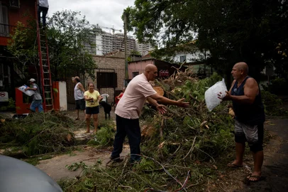 PORTO ALEGRE, RS, BRASIL, 18.01.2024: moradores das ruas São Manoel e Giordano Bruno, no bairro Rio Branco,  tem suas casas atingidas por árvores durante temporal da última terça (16). Foto: Camila Hermes/Agencia RBS<!-- NICAID(15654596) -->