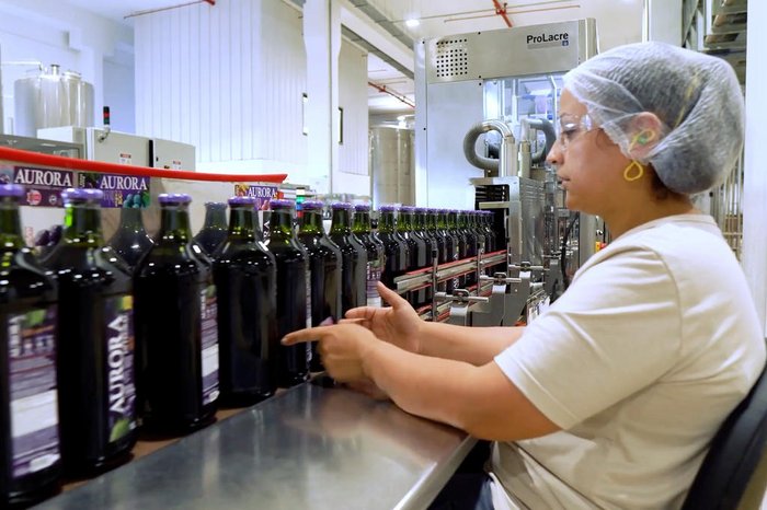 Cooperativa Vinícola Aurora / Divulgação