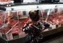 Preço da carne bovina sobe cerca de 30% em um ano no RS; entenda por quê