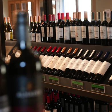 SANTANA DO LIVRAMENTO, RS, BRASIL, 04-08-2025: Cidades das regiões de  fronteira com o Uruguai e Argentina apostam no turismo de compras em freeshops nacionais e dos países vizinhos. A vinícola Almadén criou um roteiro de visitação e degustação nos vinhedos da propriedade de Santana do Livramento com "safari" em micro ônibus e até mesmo uma paleontoca. Foto: Jonathan Heckler/Agência RBS<!-- NICAID(16098846) -->