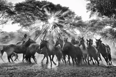 O fotógrafo Tadeu Vilani lança o livro "Tentos de Luz". Em Caxias do Sul, palestrou para os integrantes do Clube do Fotógrafo.<!-- NICAID(16151514) -->