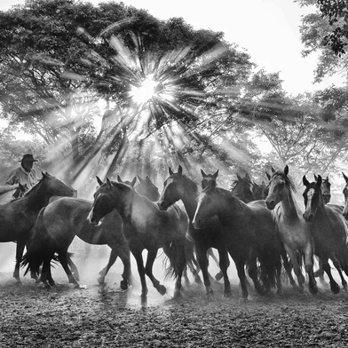 O fotógrafo Tadeu Vilani lança o livro "Tentos de Luz". Em Caxias do Sul, palestrou para os integrantes do Clube do Fotógrafo.<!-- NICAID(16151514) -->