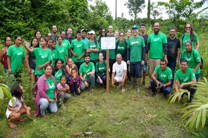 Floresta Olímpica do Brasil, COB
