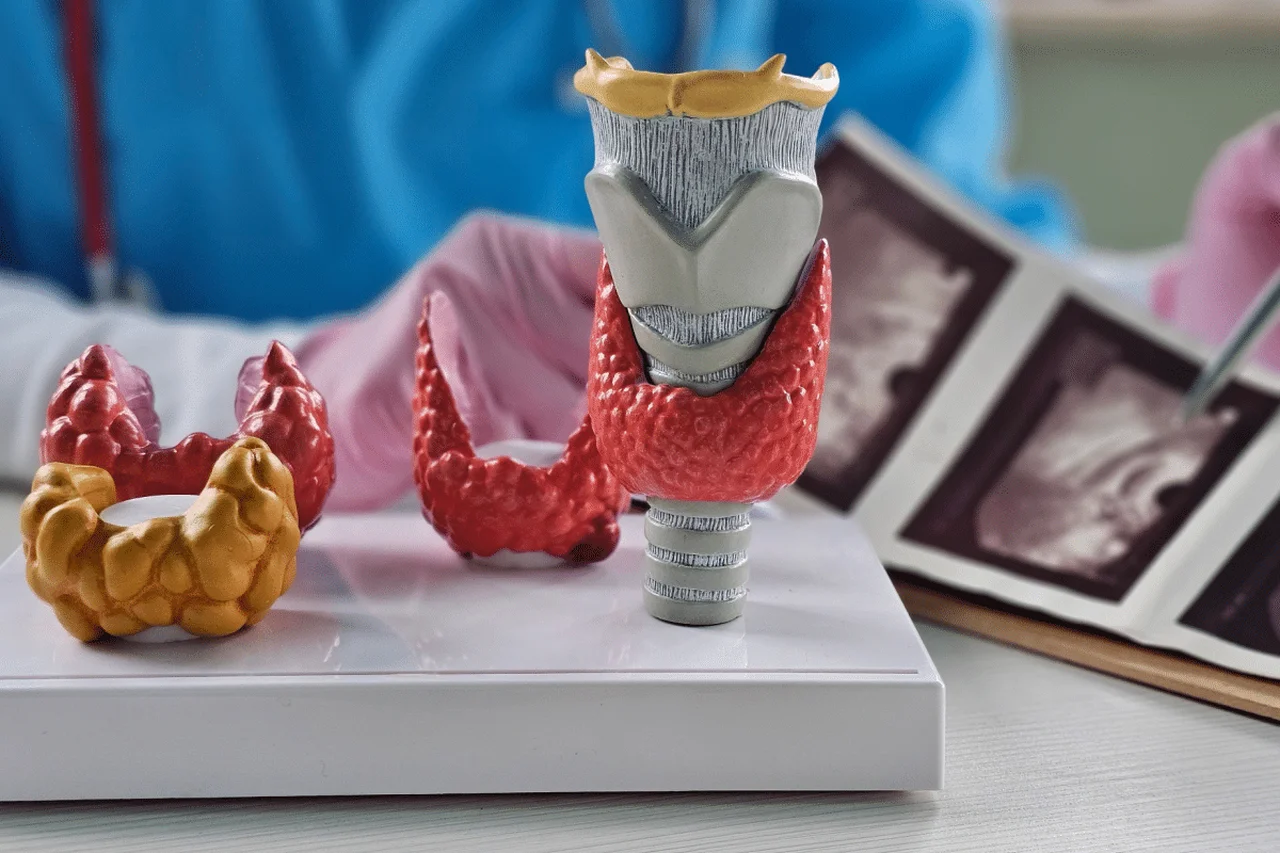 NMK-Studio/Shutterstock | Portal EdiCase