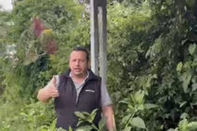 Em vídeo nas redes sociais, vereador Adriano Bressan denúncia condição de parada de ônibus de Caxias do Sul. <!-- NICAID(15686152) -->