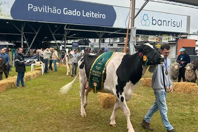 desfile das  campeãs da expoleite 2026<!-- NICAID(16287102) -->