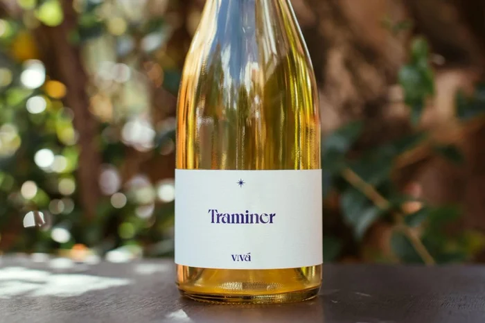 Vivá Vinhos / Divulgação