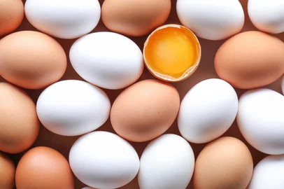 Africa Studio / stock.adobe.com Ovos<!-- NICAID(15959274) -->