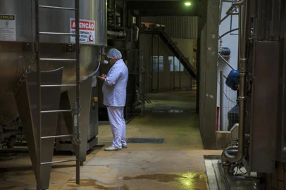 Nova Petrópolis, RS, Brasil - Setor leiteiro gaúcho enfrenta dificuldades que não são de agora, mas que se agravaram durante a pandemia e hoje culminam em problemas financeiros de cooperativas e empresas do setor. Na foto tratamento e envase do leite na Indústria Piá, na cidade Serrana. Foto: Jefferson Botega / Agencia RBSIndexador: Jeff Botega<!-- NICAID(15395986) -->