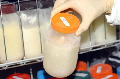 leite materno<!-- NICAID(15118072) -->