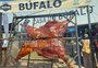 Pela primeira vez, carcaça de búfalo inteira é assada para o público da Expointer