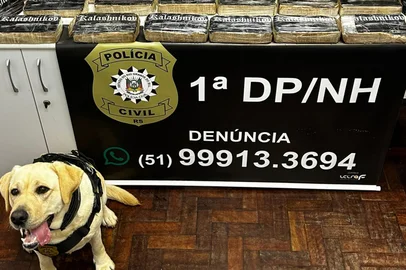 Polícia Civil apreende 50kg de drogas em Novo Hamburgo com auxílio de cadela farejadora<!-- NICAID(16087736) -->