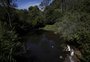 Apenas um dos 7 rios e arroios monitorados pela Fundação SOS Mata Atlântica no RS tem água considerada "boa"