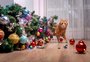Oito dicas para evitar que o seu gato destrua a árvore de Natal 