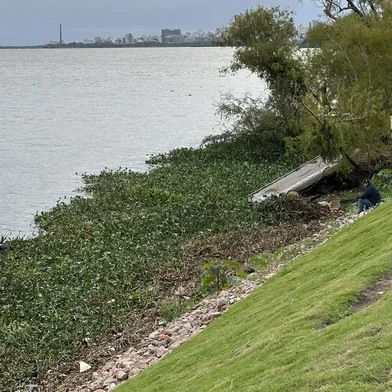 Uma mulher ficou ferida após cair com o carro que dirigia dentro do Guaíba, no final da madrugada deste domingo (28), em Porto Alegre. O caso aconteceu na Avenida Padre Cacique, próximo da Fundação Iberê Camargo, por volta das 5h40min<!-- NICAID(15440387) -->