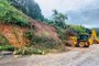 Deslizamento deixa estrada entre Flores da Cunha e Nova Pádua em meia pista<!-- NICAID(15559170) -->
