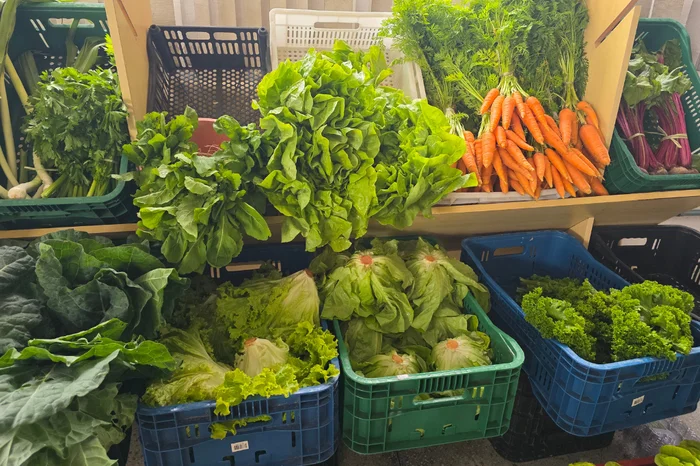 Laura Cosme / Grupo RBS