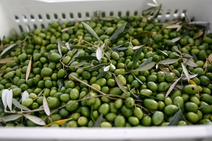 André Ávila / Agencia RBS