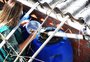 Chegada do inverno poderá ajudar a reduzir o número de novos casos de dengue no RS