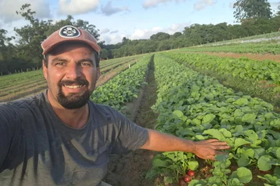 Cultivo de hortaliças na zona rural de Porto Alegre<!-- NICAID(16003289) -->