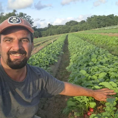 Cultivo de hortaliças na zona rural de Porto Alegre<!-- NICAID(16003289) -->