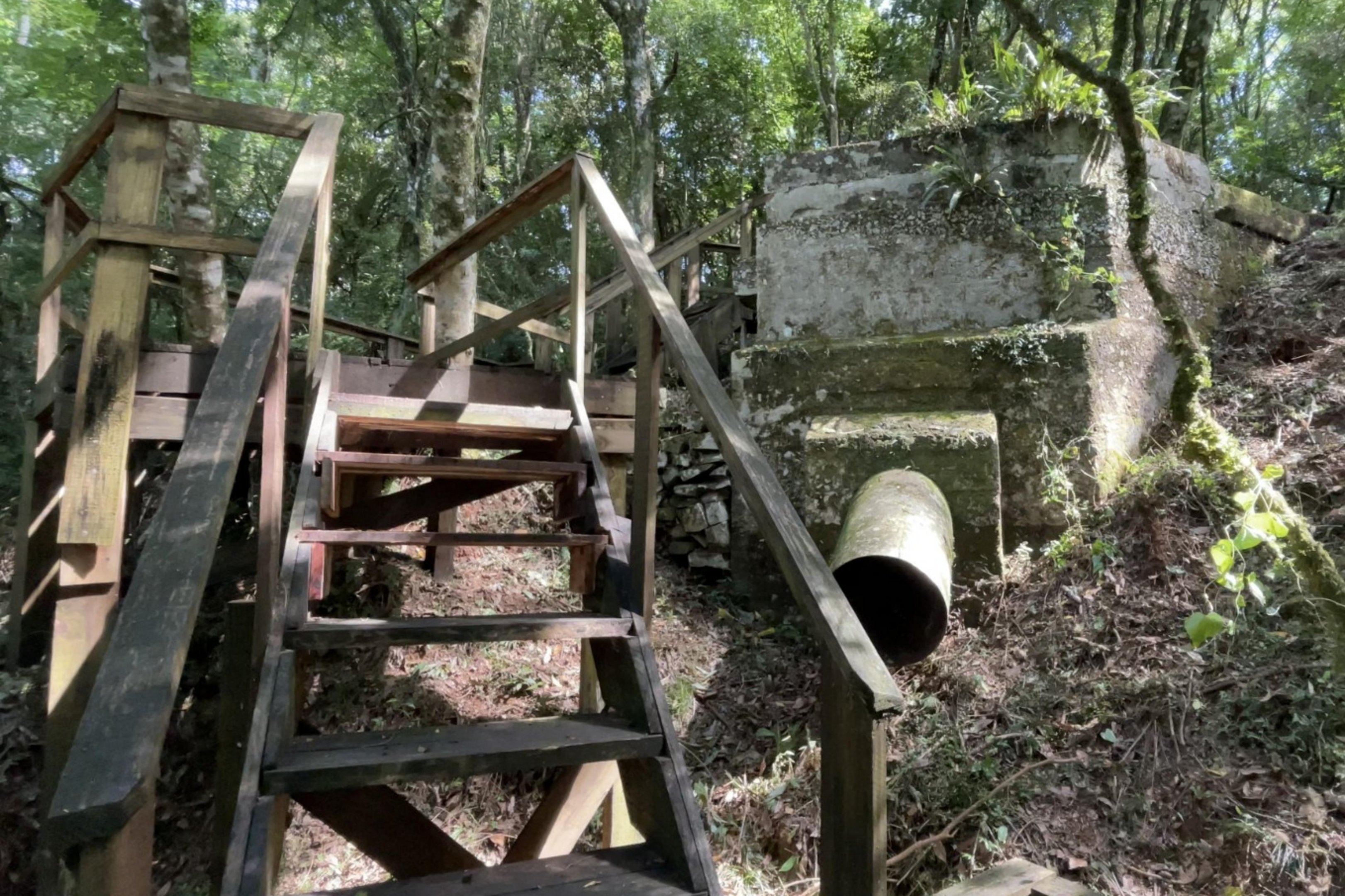 Conhe&ccedil;a a hist&oacute;ria da primeira cooperativa de energia el&eacute;trica do Brasil