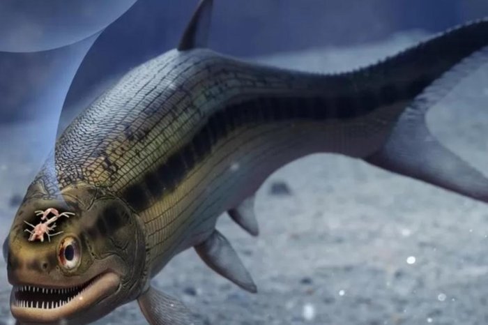 Universidade de Birmingham (UoB) / Divulgação