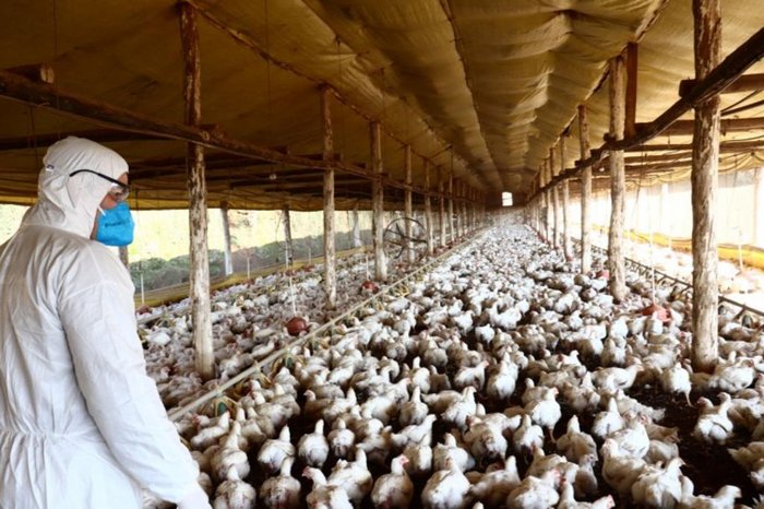 Julia Chagas / Seapi,Divulgação