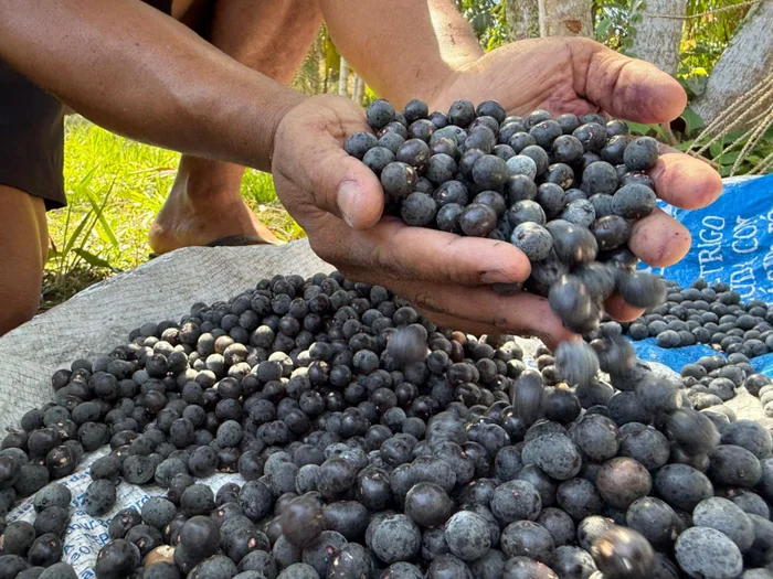 Rodrigo Lopes / Agência RBS