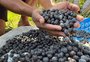 Veja o vídeo: Você sabe de onde vem o açaí? Como a fruta espelha as contradições da Amazônia