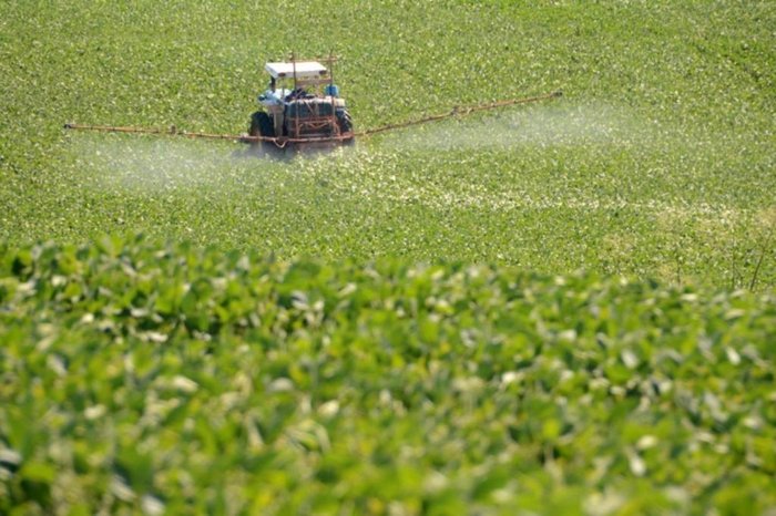 Fernando Dias / Seapdr / Divulgação Fernando Dias / Seapdr / Divulgação