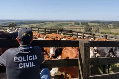 Investimento em inteligência e integração entre as forças de segurança explicam queda no número de abigeatos no Estado - Foto: Polícia Civil/Divulgação<!-- NICAID(15424037) -->