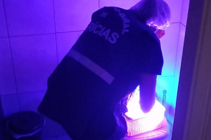 Polícia Civil / Divulgação Polícia Civil / Divulgação