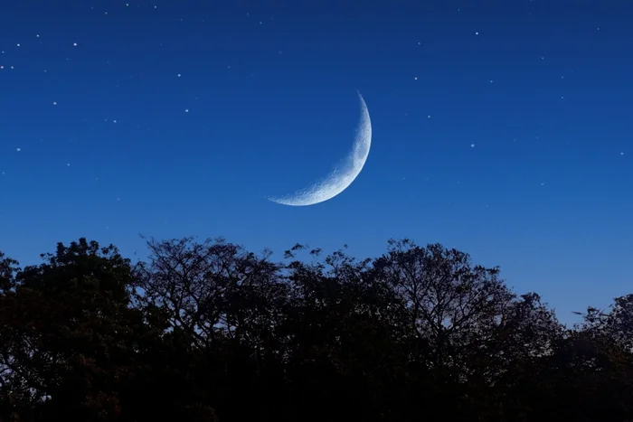 Yashveer Yadav / Shutterstock | Portal EdiCase Yashveer Yadav / Shutterstock | Portal EdiCase